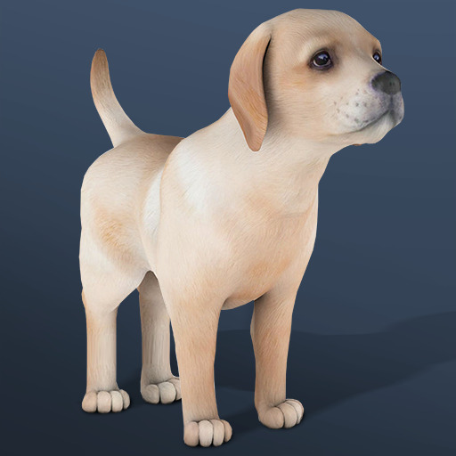 IDLE Pet Cover
